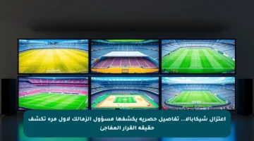 اعتزال شيكابالا.. تفاصيل حصرية يكشفها مسؤول الزمالك لأول مرة تكشف حقيقة القرار المفاجئ